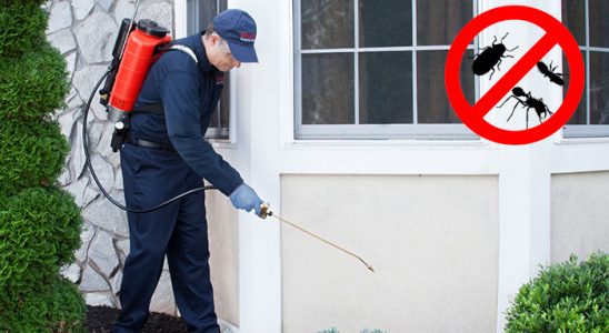 Kemaliye Kemirgen İlaçlama böcek ilaçlama ve haşere kontrolü — ilaclama-tr.com